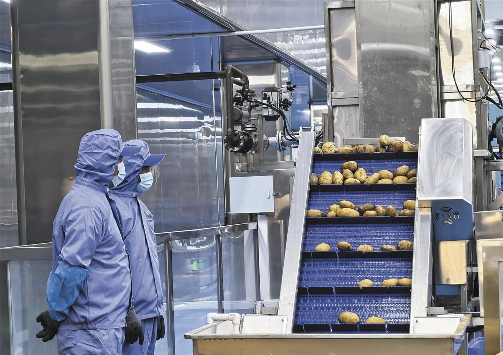 Potato Production Line 1 1 Potato Production Line 1 1